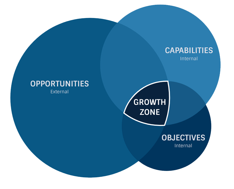 growth opportunities model
