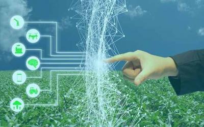 Sensors in Agriculture – Smart to Intelligent