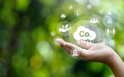 GO Net Zero – Key Takeaways from Globuc’s Brussels Conference