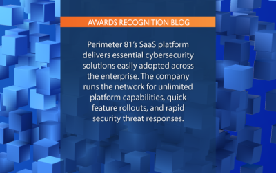 Insights for CISOs: The Rise of the New Network Perimeter